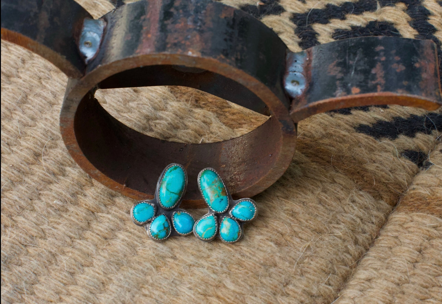 They Wyoming Earrings